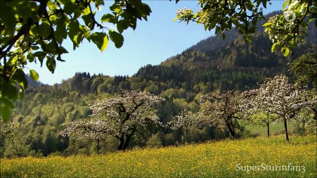 Luisa und Sebastian Folge 2255 Sturm der Liebe HD