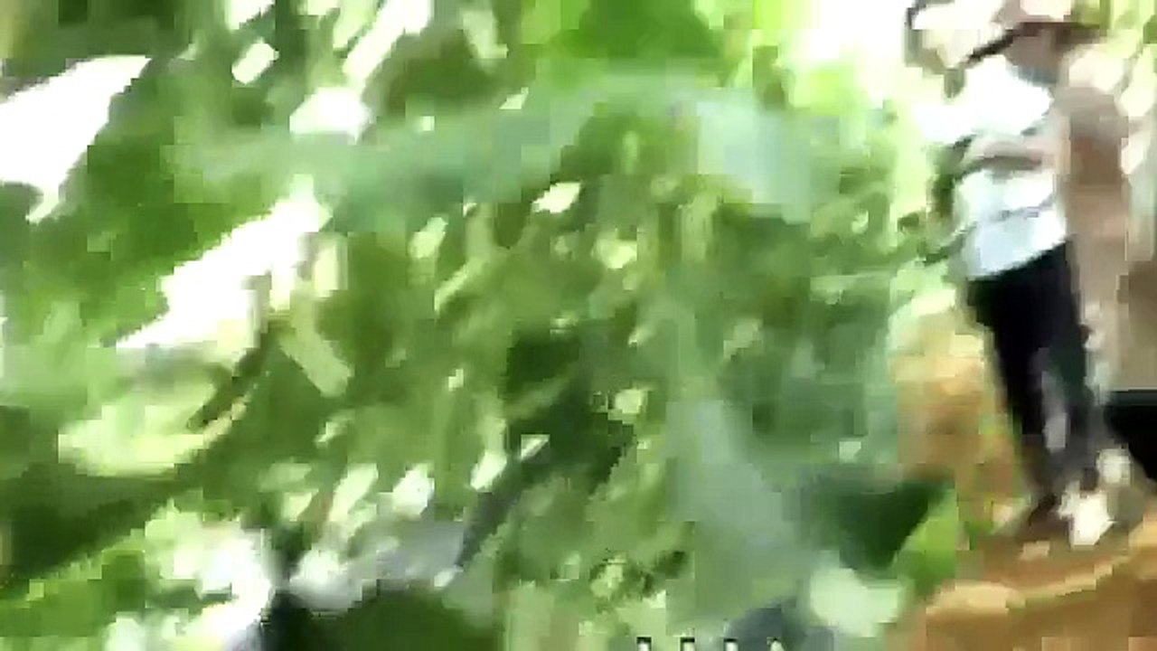 【放送事故レベル】有吉が荒れすぎてガチギレしてる時代