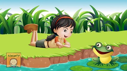 4 Küçük Kurbağa Şarkısı Bir Arada