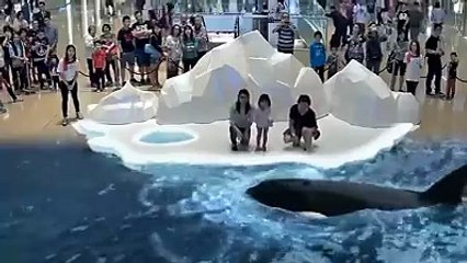 Japanese 7D hologram