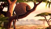 World funniest video clips wild cartoon ROLLIN` SAFARI what if animals were round HD - (2016)