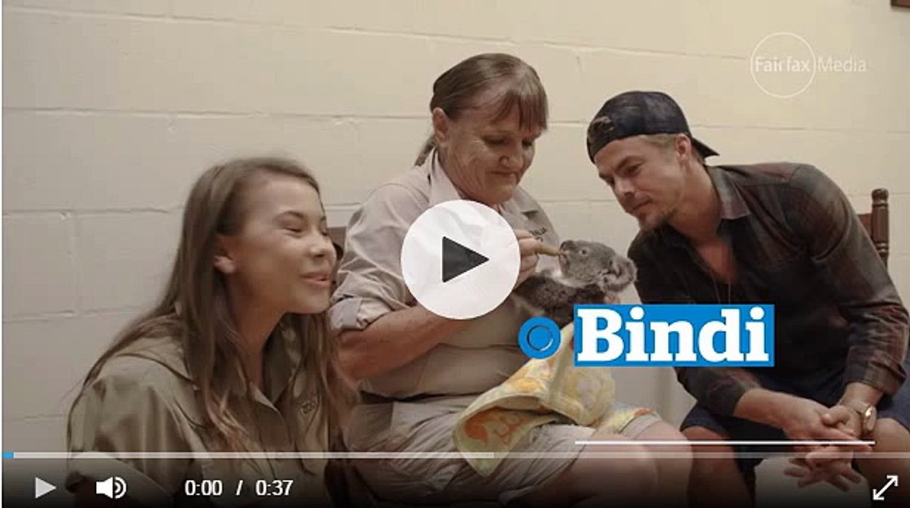 Bindi and Derek feeding Koala