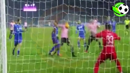 Palermo vs Frosinone 4 - 1 All Goals 12.12.2015 HD