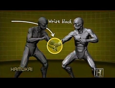 Fighting techniques human-weapon-ninjutsu kung fu