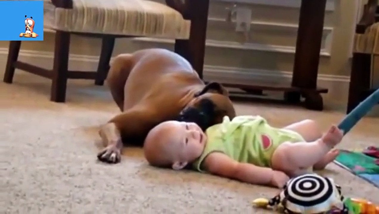 Best Funny Animals & Babies Compilation 2014