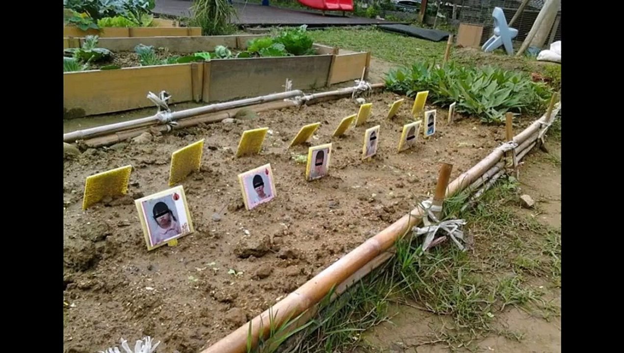 [2014] 웃긴 동영상 , 웃긴 짤방 모음 12선 , 재미있는 짤방 동영상 , Funny video , 面白い動画 , BGM , Back Ground Music