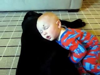 BEBE SE DUERME ENCIMA DEL PERRO ★ Perros Locos Humor Divertidos Chistosos risa