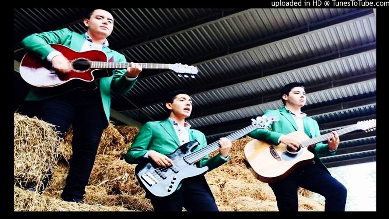 Grupo Los Caballeros - El Cholo - En Vivo (2015)