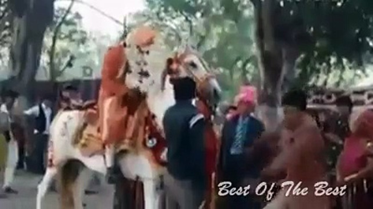 Funny hahahha  (15) Best Of The Best_3