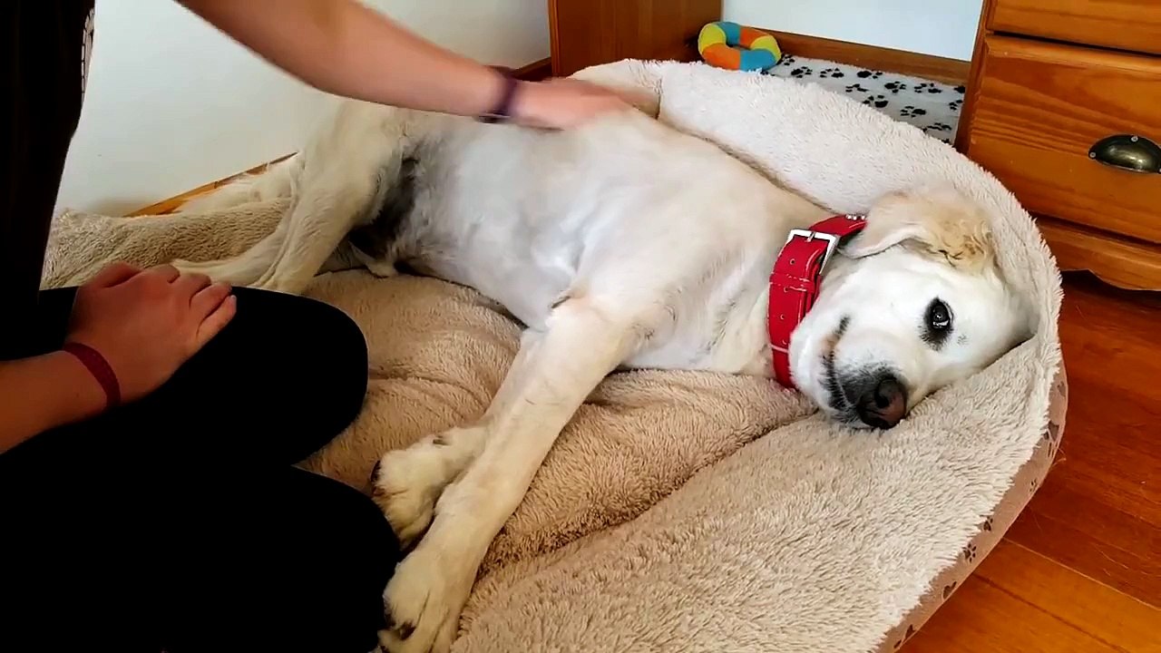 You stop when I say you can stop