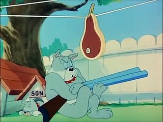 Love That Pup_Best Tom and Jerry Cartoon_29