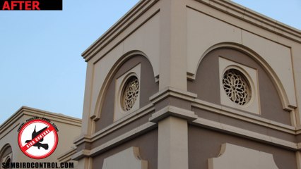 SBM Bird Control Dubai, UAE