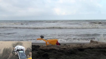 Meeresrauschen Die einschläfernden Geräusche eines Strandes | Strandgeräusche