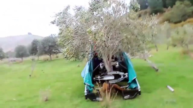 Incredible olive harvest machine