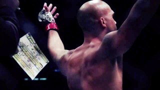 UFC 195: Embrace the Fight