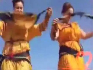 Nourredine CHENOUD - Amendil