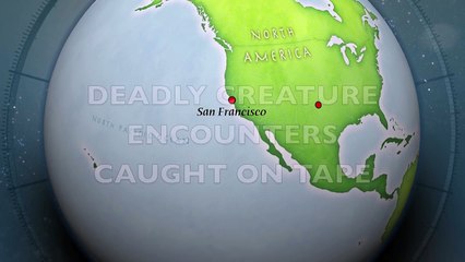 DEADLY CREATURE ENCOUNTERS CAUGHT ON TAPE