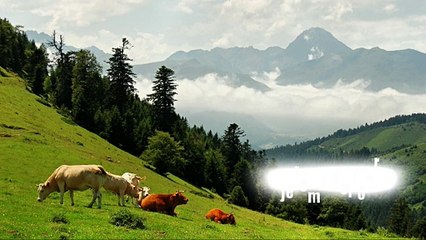 LES PYRENEES - Jérôme Deltour