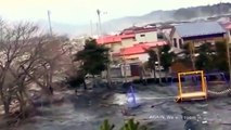 During Japan Tsunami a strange creature was caught on camera - real footage