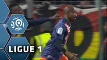 But Souleymane CAMARA (54ème) / Montpellier Hérault SC - EA Guingamp - (2-1) - (MHSC-EAG) / 2015-16