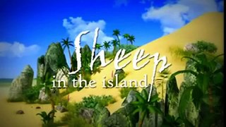 Sheep In The Island Cartoon for kids