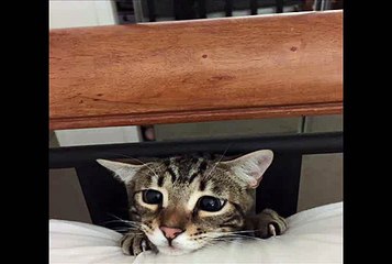 But I don't want to sleep in my bed