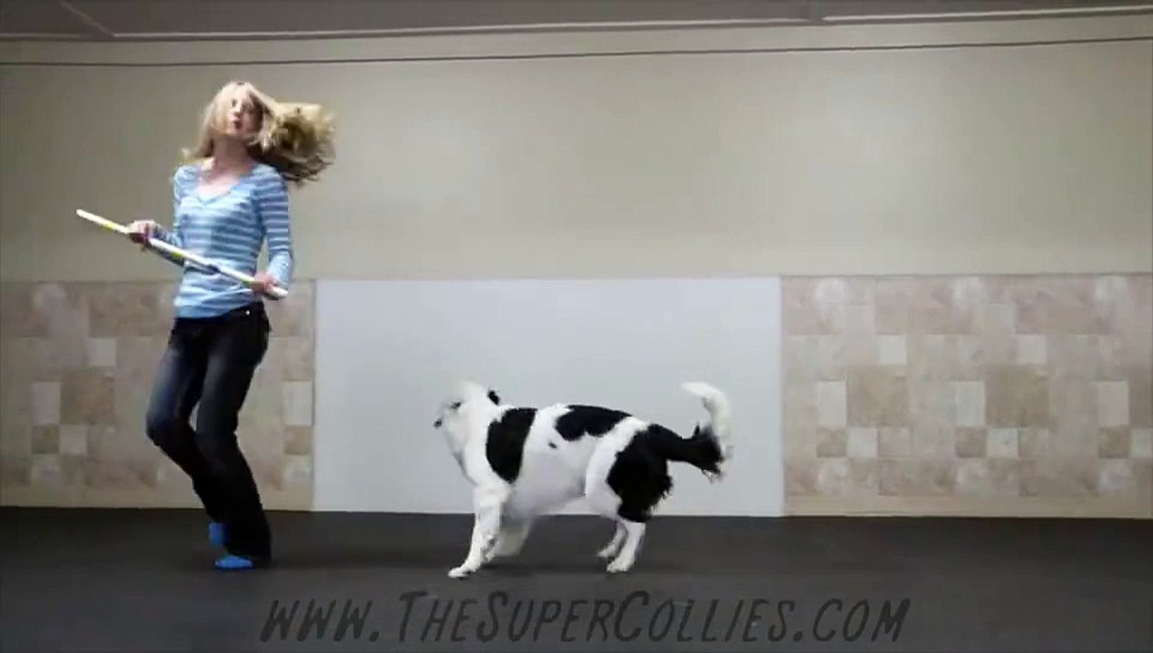 dancing with The Super Collies.