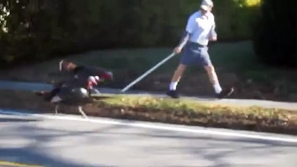 Facteur vs dindes by goldfinger