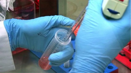 What did they say 32