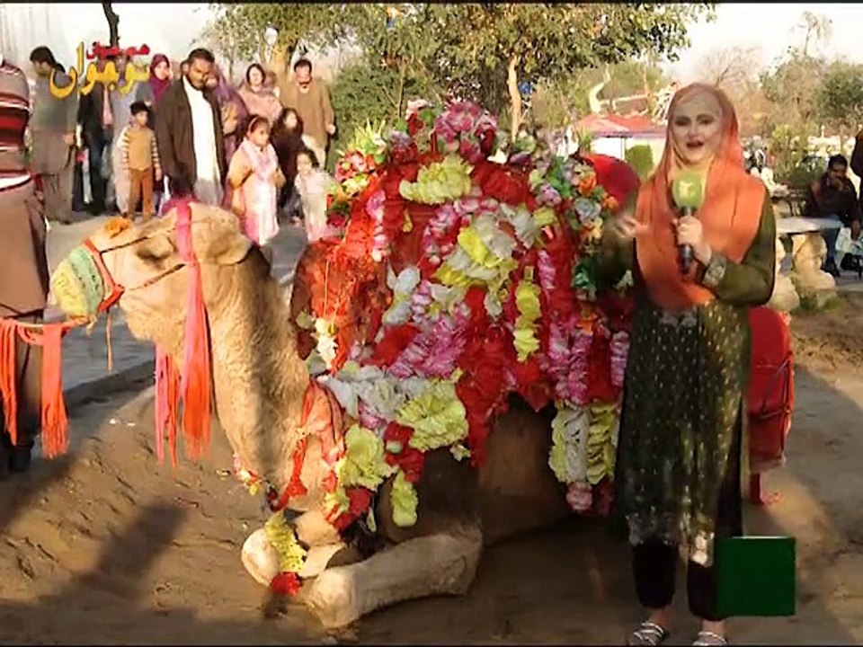 Hum Jawan Naujawan 13-12-2015