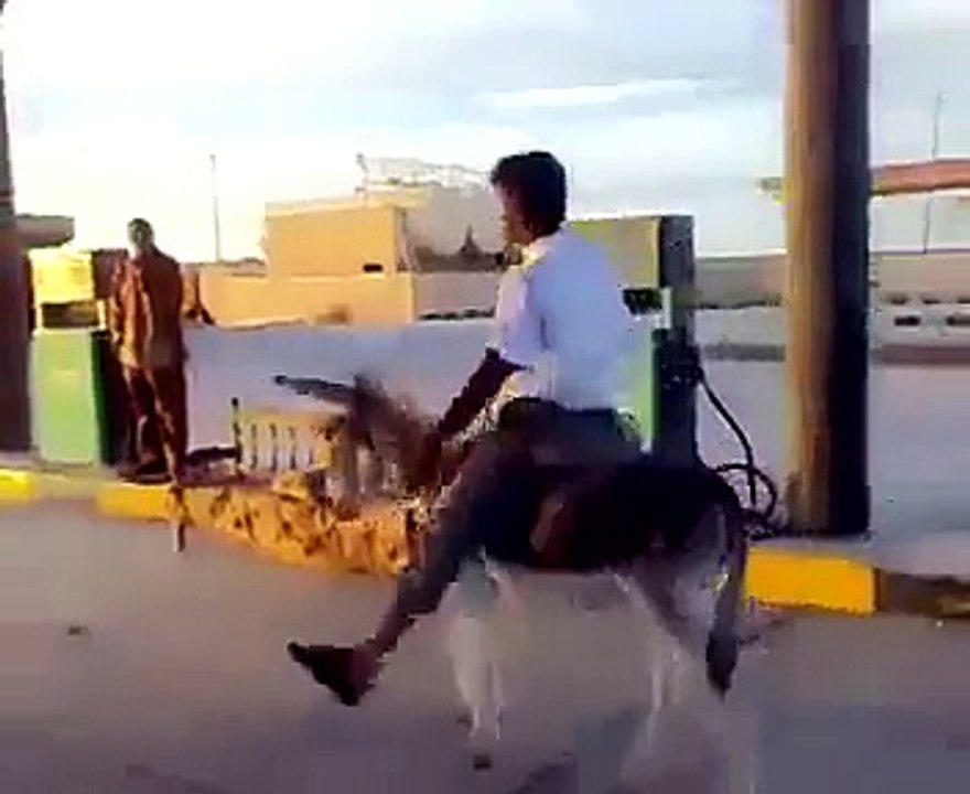 shared Video fun's