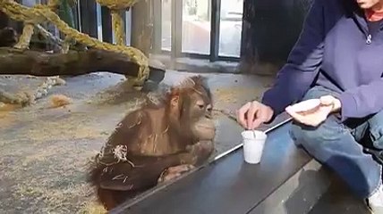 When the magic trick is just too damn good video 2015