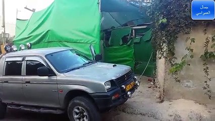 bon chien vs un homme et le serpent Cobra dangereux