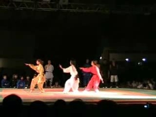 Yuan Fen Quan Kung Fu Démonstration