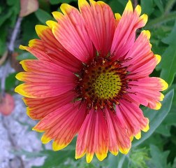 해외배팅방법す Supercar123.Com 가입코드7171