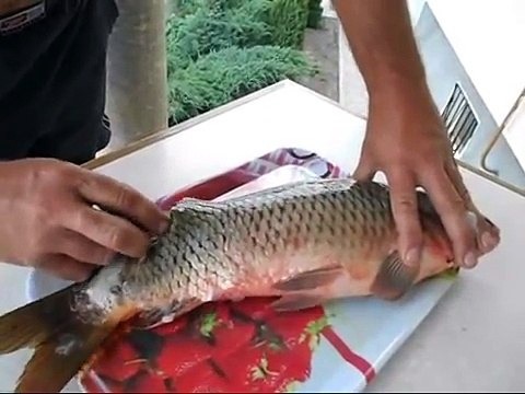 Как почистить рыбу в квартире и не испачкать кухню чешуей