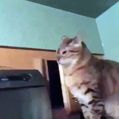 Sneaky sneaky... then BAM!