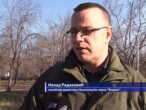 Novi zakon o nacionalnim parkovima, 13. decembar 2015. (RTV Bor)