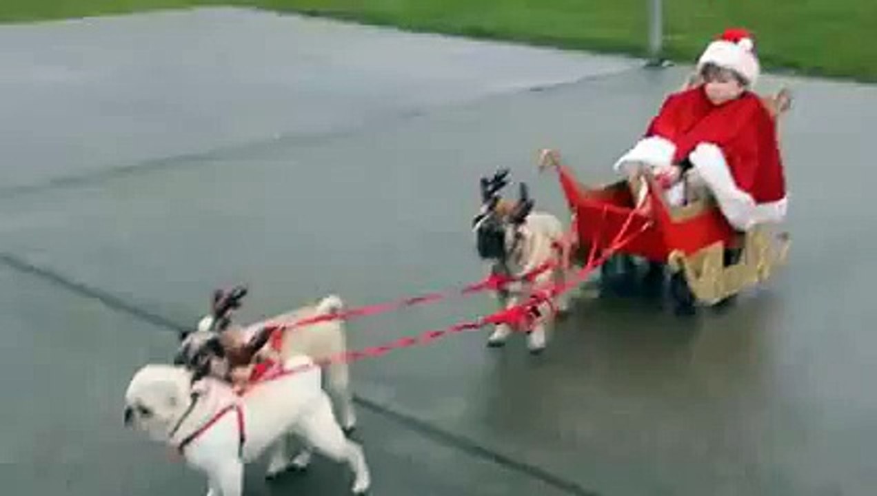 Un mini père noël avec ses mini rennes