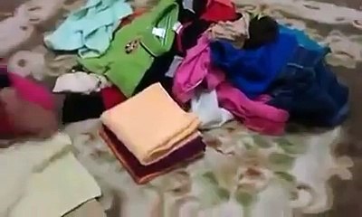 বাঙালির বুদ্ধি পাতায় পাতায়