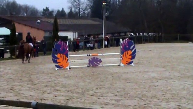 U'Freddy du Vercol et Morgane - Prépa 90cm