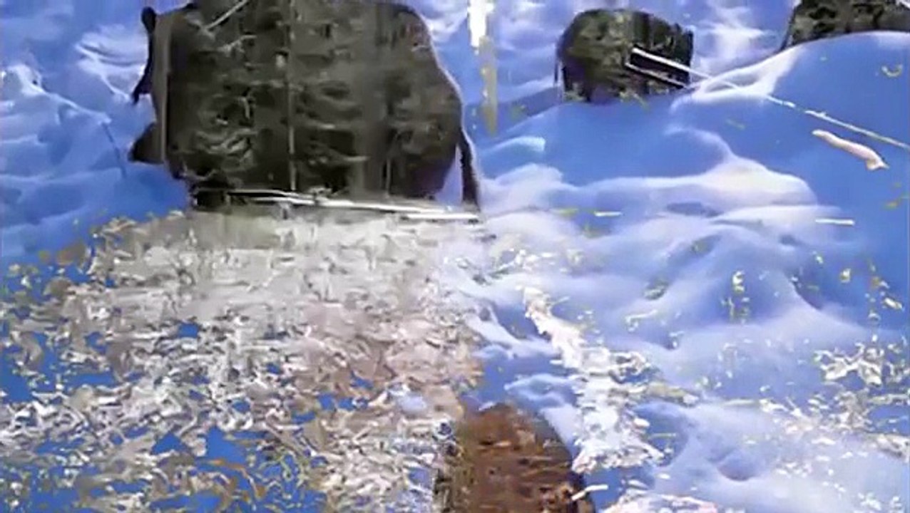 ПРИКОЛ ! ОХОТА неудачника