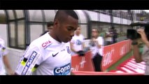 Robinho - The Prince is Back - FC Santos 2014 - HD