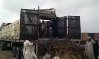 Unloading Cow Run Away