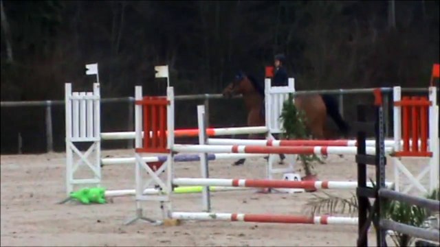 Saphir du marais - Prépa 110cm + barrage