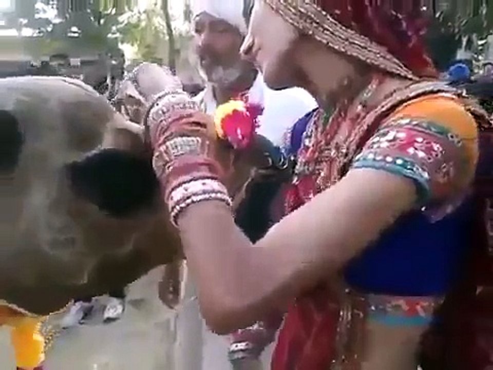 Whatsapp comedy video
