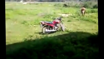 Lustiges whatsapp Video