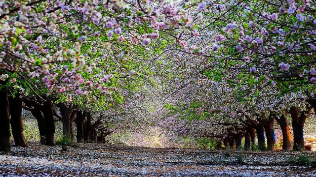 Привітання з днем народження