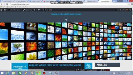 آپ ساری ویڈیوز اکھٹی ایک جگہ سپین ویزہ محلومات کی کیسے دیکھ سکتے ھیں