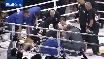 UFC: Enzo Maccarinelli knocks out Roy Jones Jr in the fourth